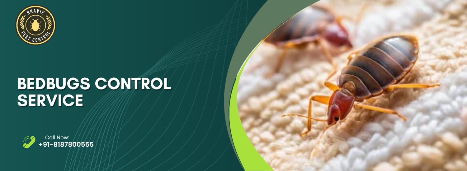 bedbugs control service hyderabad