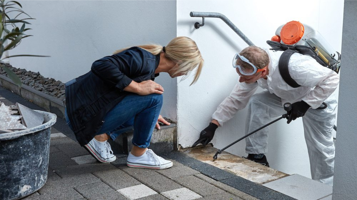 Termite Control Service In Hyderabad